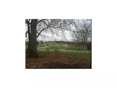 123 Glendale Road Limestone Tn 37681, Limestone, TN 37681 photo 15