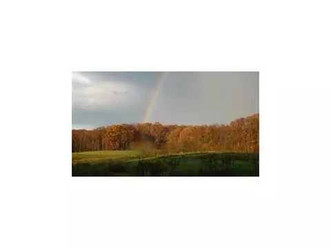 123 Glendale Road Limestone Tn 37681, Limestone, TN 37681 photo 16