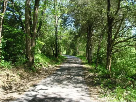 357 Malone Road Watauga Tn 37694, Watauga, TN 37694 photo 21