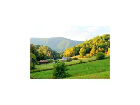 104 Ottie Tilson Road Erwin Tn 37650, Erwin, TN 37650 photo 2