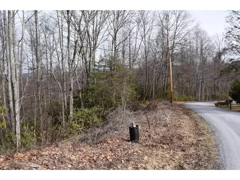 157 Fiddlers Branch Road Hampton Tn 37658, Hampton, TN 37658 photo 5