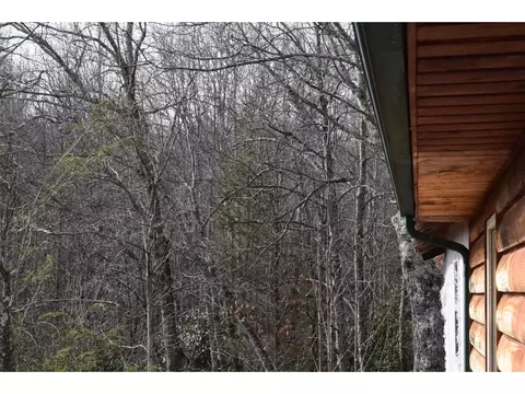157 Fiddlers Branch Road Hampton Tn 37658, Hampton, TN 37658 photo 6