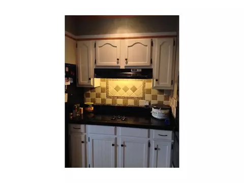 1612 Mill Creek Fall Branch Tn 37656, Fall Branch, TN 37656 photo 4