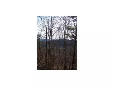 15529 Brumley Gap Road Abingdon Va 24210, Abingdon, VA 24210 photo 9