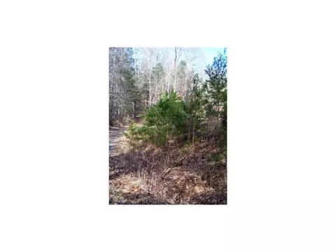15529 Brumley Gap Road Abingdon Va 24210, Abingdon, VA 24210 photo 4