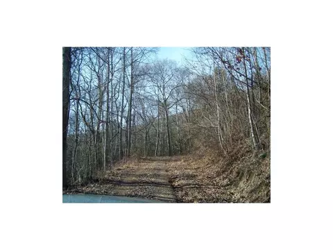 15529 Brumley Gap Road Abingdon Va 24210, Abingdon, VA 24210 photo 3