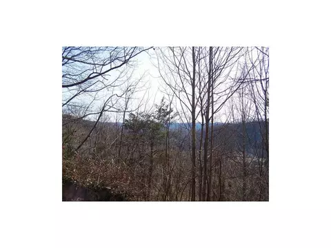 15529 Brumley Gap Road Abingdon Va 24210, Abingdon, VA 24210 photo 10