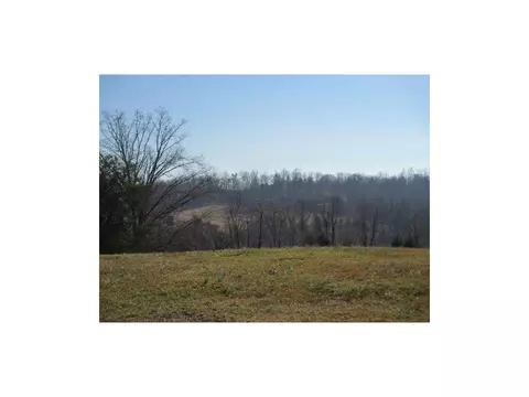 134 Ridges Drive Chuckey Tn 37641, Chuckey, TN 37641 photo 24