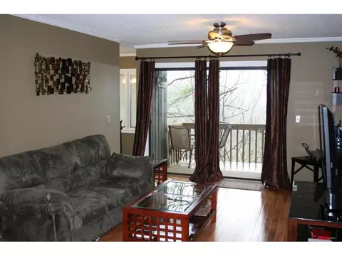 325 Hickory Bluff Johnson City Tn 37601, Johnson City, TN 37601 photo 6