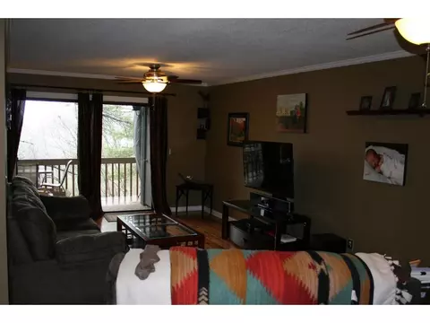 325 Hickory Bluff Johnson City Tn 37601, Johnson City, TN 37601 photo 5