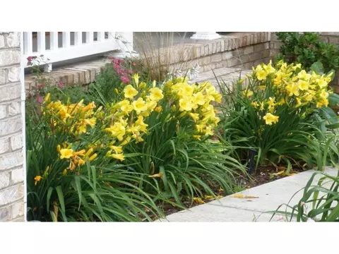 120 Ruby R Jonesborough Tn 37659, Jonesborough, TN 37659 photo 4