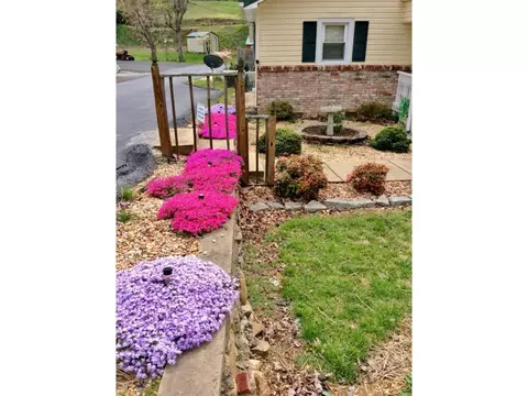 518 Mohawk Drive Erwin Tn 37650, Erwin, TN 37650 photo 14