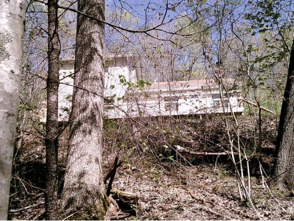 121 Fiddlers Branch Rd, Hampton, TN 37658 photo 1