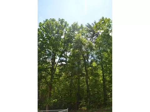 151 Lyons Road Hampton Tn 37658, Hampton, TN 37658 photo 15