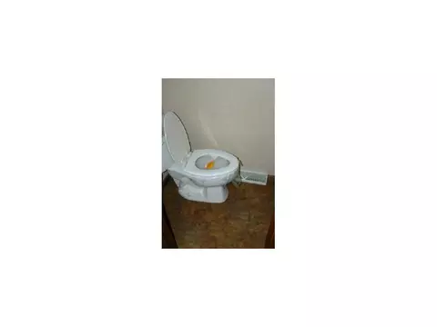 137 View Drive Limestone Tn 37681, Limestone, TN 37681 photo 7