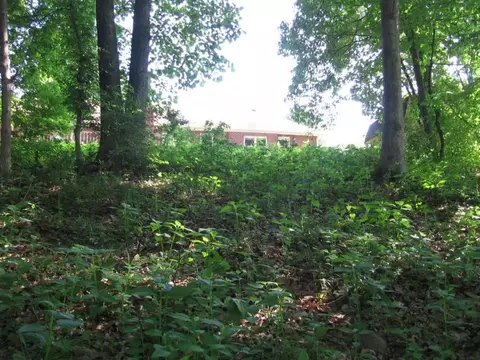 25580 Cornelius Drive Abingdon Va 24211, Abingdon, VA 24211 photo 5