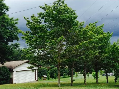 265 Springfield Drive Bristol Tn 37620, Bristol, TN 37620 photo 2