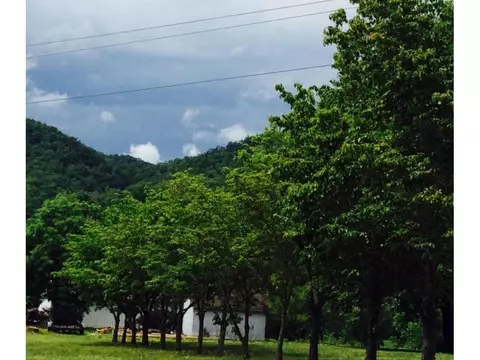265 Springfield Drive Bristol Tn 37620, Bristol, TN 37620 photo 7