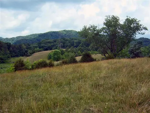 265 Moulton Road Fall Branch Tn 37656, Fall Branch, TN 37656 photo 6