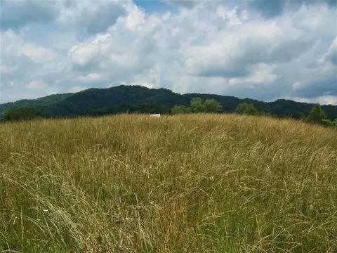 265 Moulton Road Fall Branch Tn 37656, Fall Branch, TN 37656 photo 12