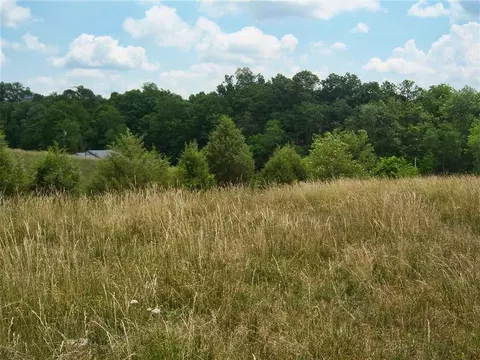 265 Moulton Road Fall Branch Tn 37656, Fall Branch, TN 37656 photo 9