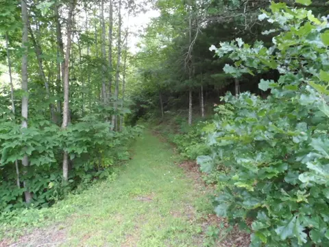 122 Ellison Road Hampton Tn 37658, Hampton, TN 37658 photo 21