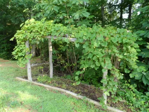 122 Ellison Road Hampton Tn 37658, Hampton, TN 37658 photo 19