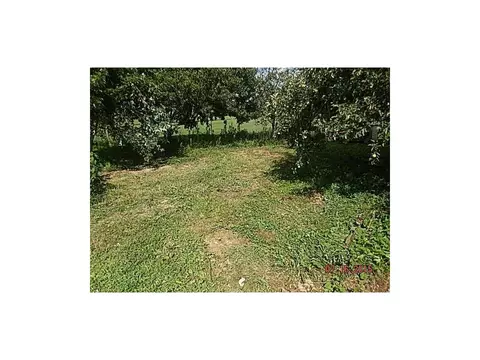 120 Powell Road Limestone Tn 37681, Limestone, TN 37681 photo 7