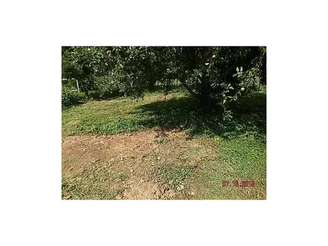 120 Powell Road Limestone Tn 37681, Limestone, TN 37681 photo 6
