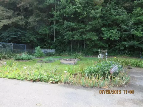 306 Tucker Hollow Fall Branch Tn 37656, Fall Branch, TN 37656 photo 7