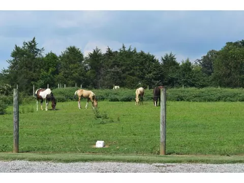 604 Frank Stanton Road Limestone Tn 37681, Limestone, TN 37681 photo 16
