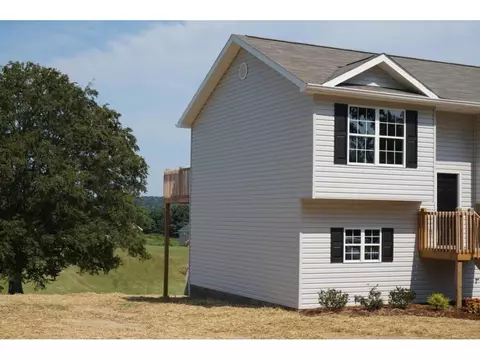 541 Painter Road Fall Branch Tn 37656, Fall Branch, TN 37656 photo 17