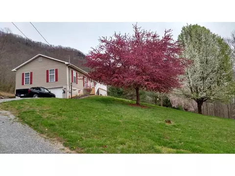 167 Lighthouse Drive Duffield Va 24244, Duffield, VA 24244 photo 1