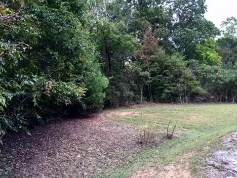 167 Lighthouse Drive Duffield Va 24244, Duffield, VA 24244 photo 3