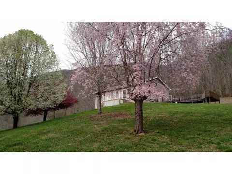 167 Lighthouse Drive Duffield Va 24244, Duffield, VA 24244 photo 2