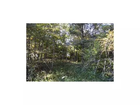 162 Pumpkin Valley Road Eidson Tn 37731, Eidson, TN 37731 photo 7
