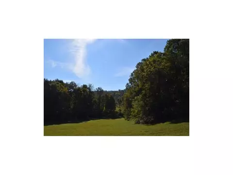 162 Pumpkin Valley Road Eidson Tn 37731, Eidson, TN 37731 photo 11
