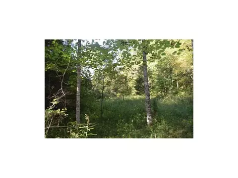 162 Pumpkin Valley Road Eidson Tn 37731, Eidson, TN 37731 photo 10
