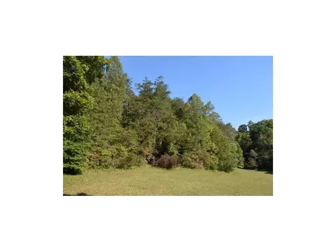 162 Pumpkin Valley Road Eidson Tn 37731, Eidson, TN 37731 photo 9