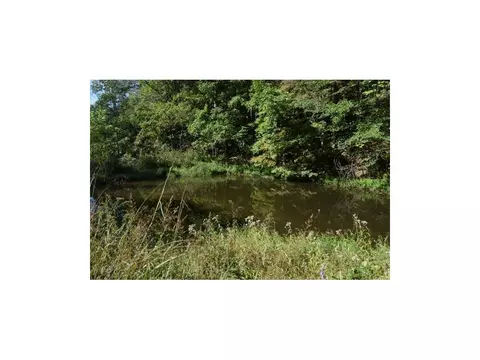 162 Pumpkin Valley Road Eidson Tn 37731, Eidson, TN 37731 photo 4
