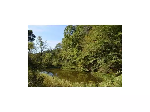 162 Pumpkin Valley Road Eidson Tn 37731, Eidson, TN 37731 photo 3