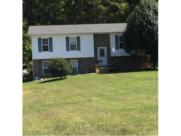 192 Gibson Loop, Afton, TN 37616 photo 1