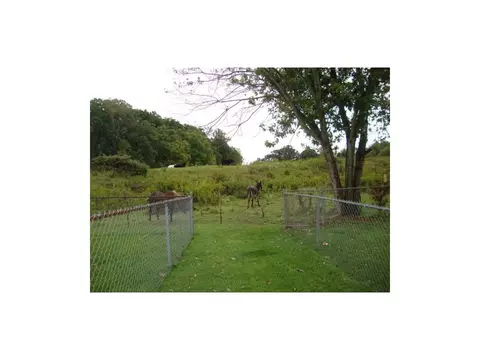 220 Springview Drive Gray Tn 37615, Gray, TN 37615 photo 21
