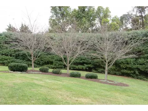 96 Crestview Drive Abingdon Va 24210, Abingdon, VA 24210 photo 24