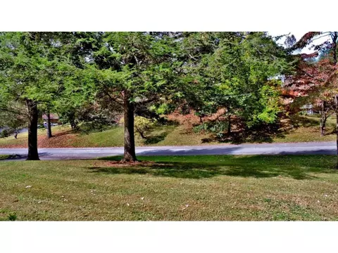 610 Buckeye Avenue Erwin Tn 37650, Erwin, TN 37650 photo 3