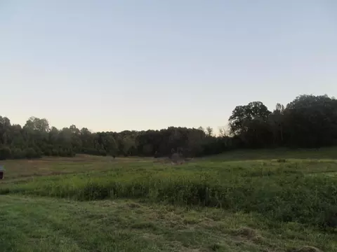 485 Branch Road Fall Branch Tn 37656, Fall Branch, TN 37656 photo 5