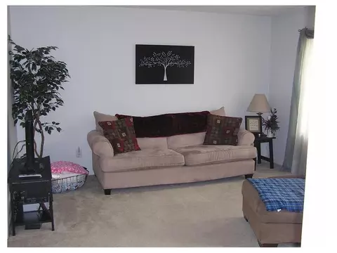 529 S Elm Avenue Erwin Tn 37650, Erwin, TN 37650 photo 5