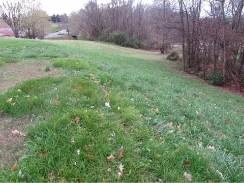 509 Barton Ridge Road Greeneville Tn 37745, Greeneville, TN 37745 photo 20