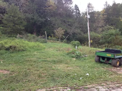 526 War Creek Road Eidson Tn 37731, Eidson, TN 37731 photo 5