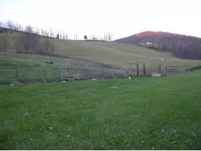 162 Clinch Valley Road Eidson Tn 37731, Eidson, TN 37731 photo 24